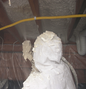  CO crawl space insulation